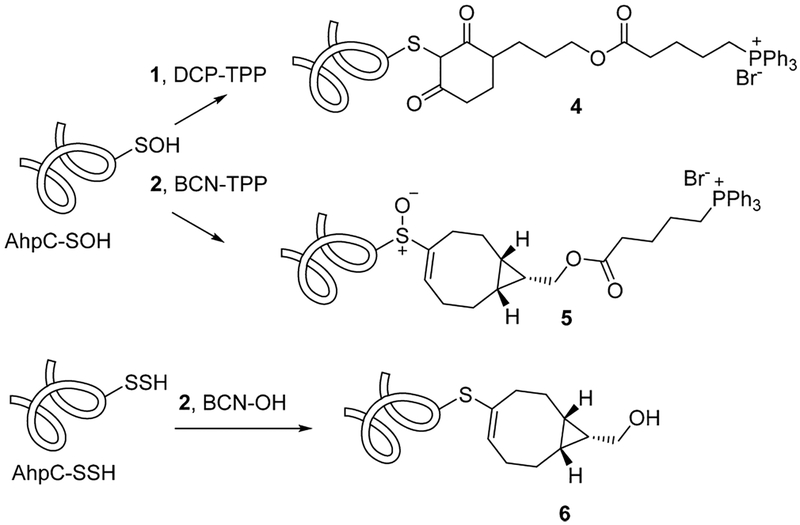 Scheme 2.