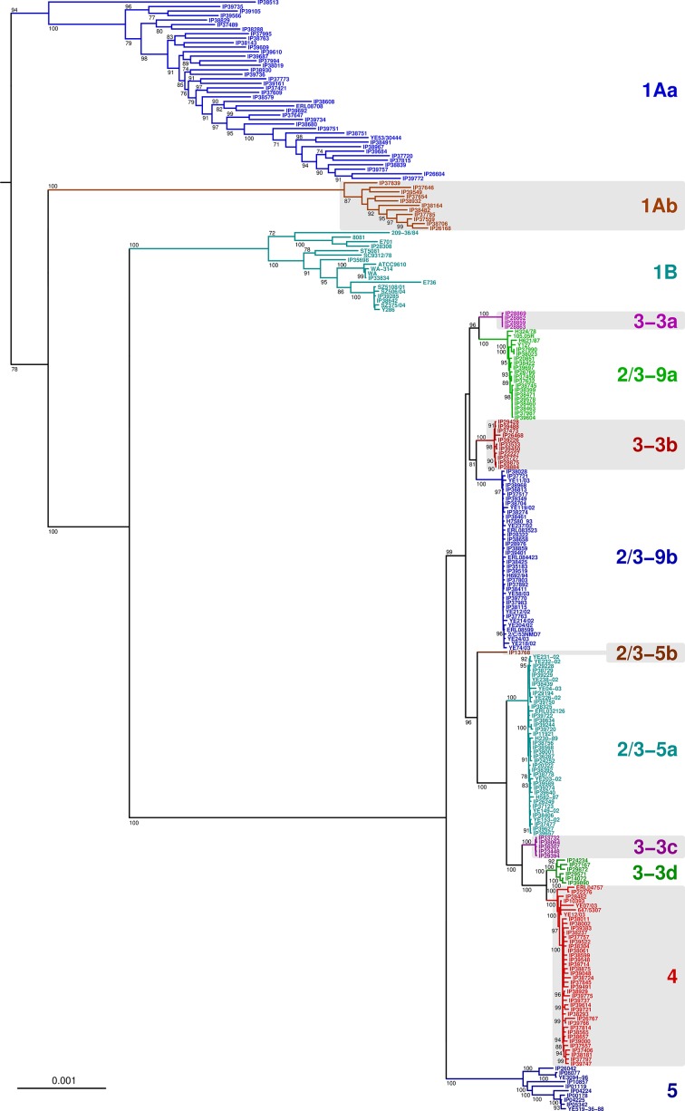 Fig. 2.