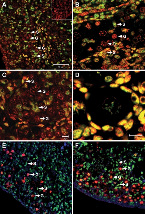 Figure 2