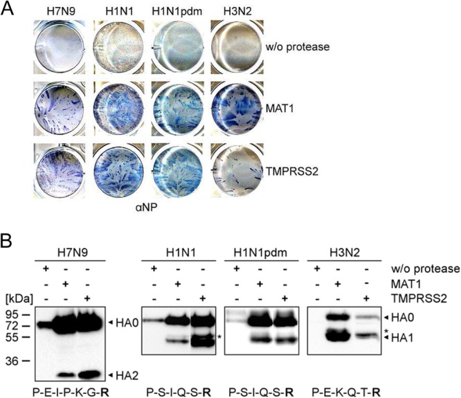 FIG 3