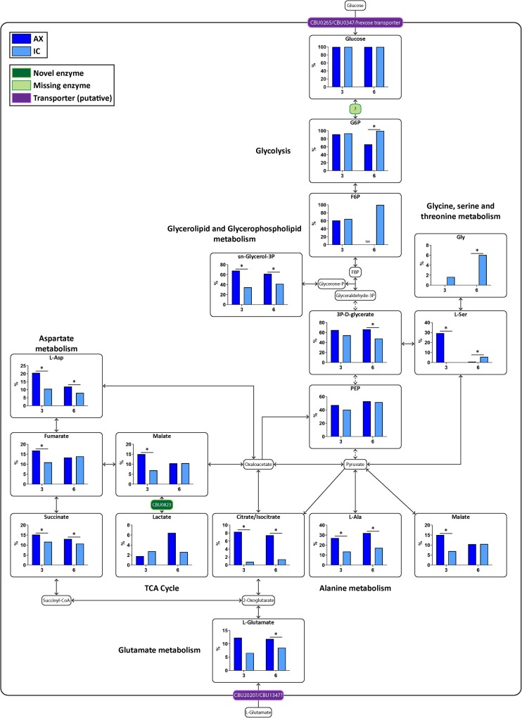 Figure 2.