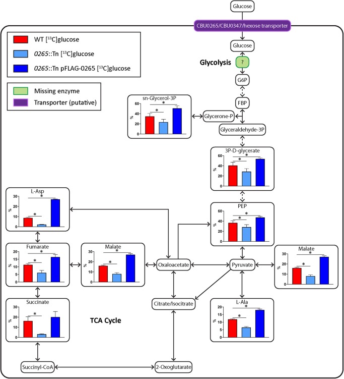 Figure 3.