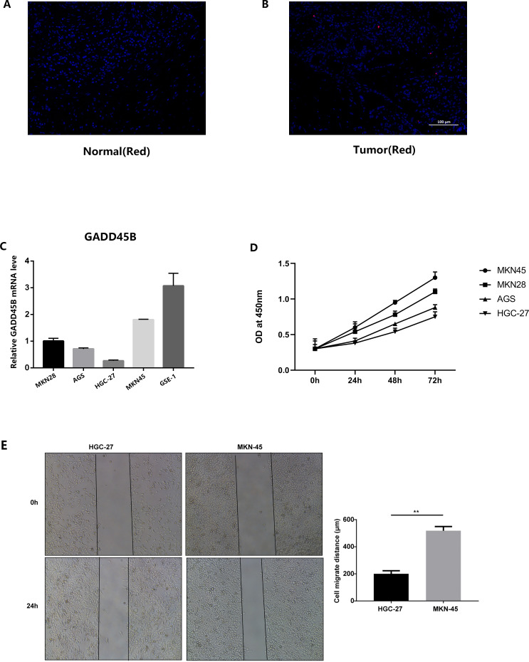 Figure 14