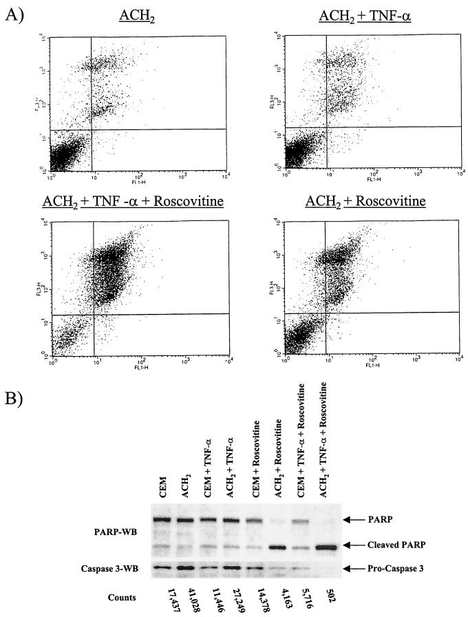 FIG. 6