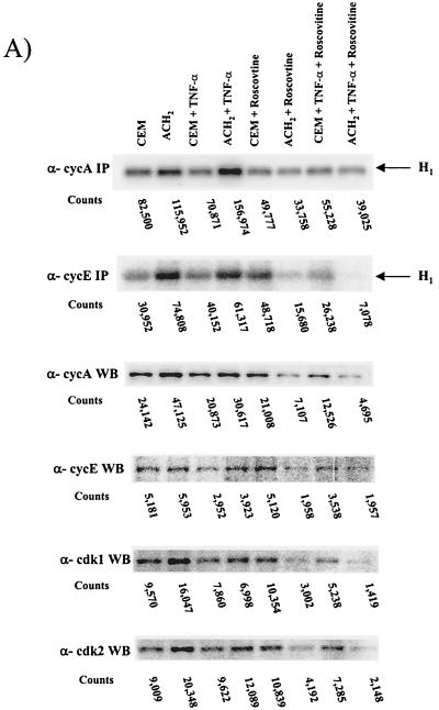 FIG. 5