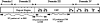 F<sc>IGURE</sc> 1