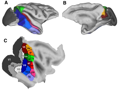 Fig. 7.