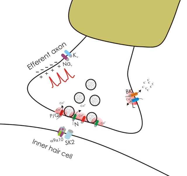 Figure 7.