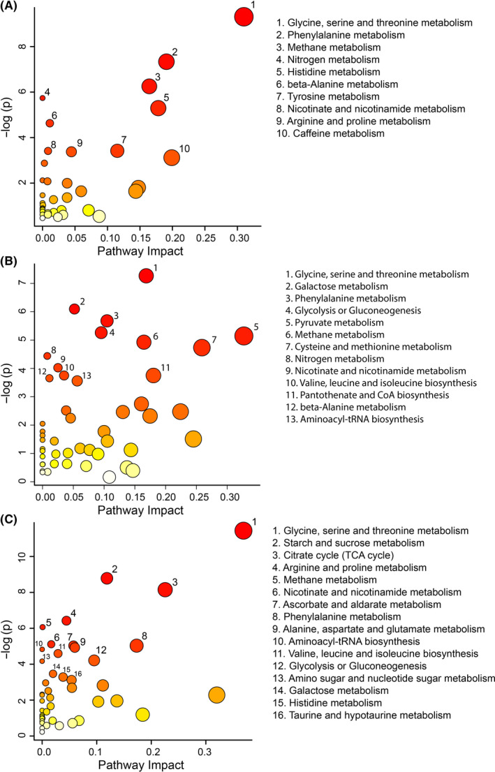 FIGURE 3