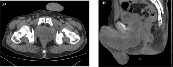 Figure 1 