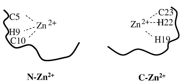 Figure 8