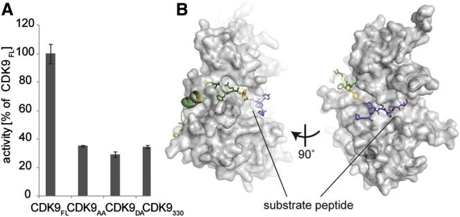 Figure 4