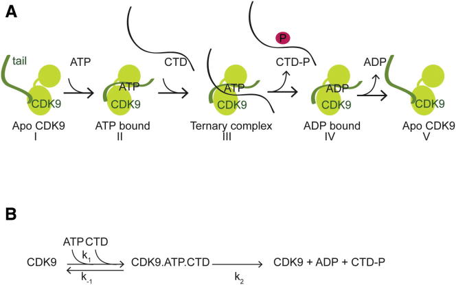 Figure 5