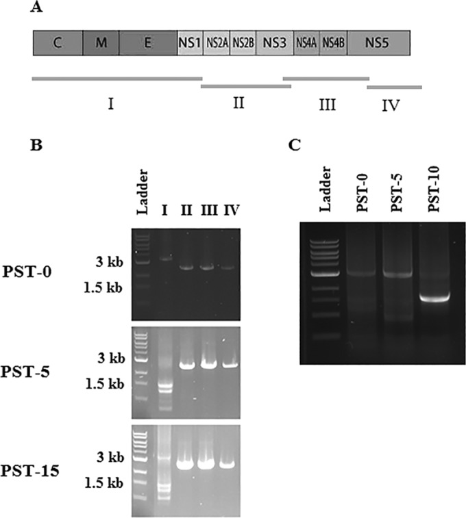 FIG 4 