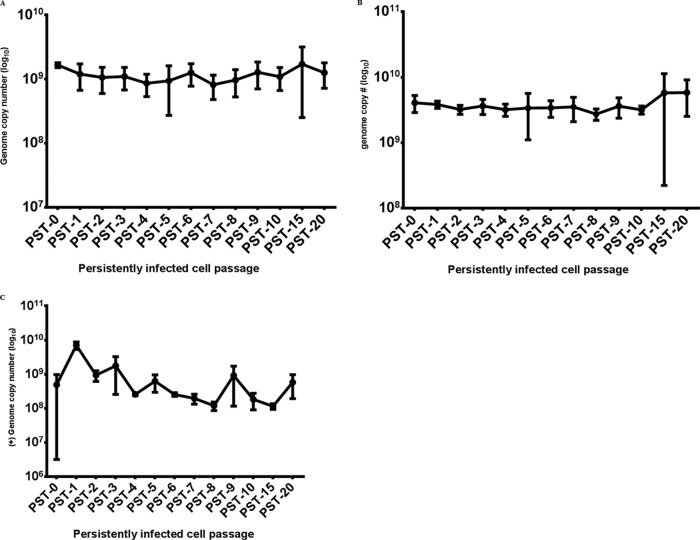 FIG 3 