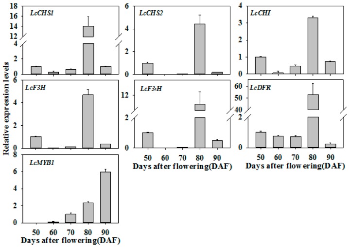 Figure 7