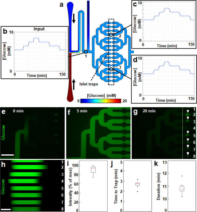 Figure 5 |