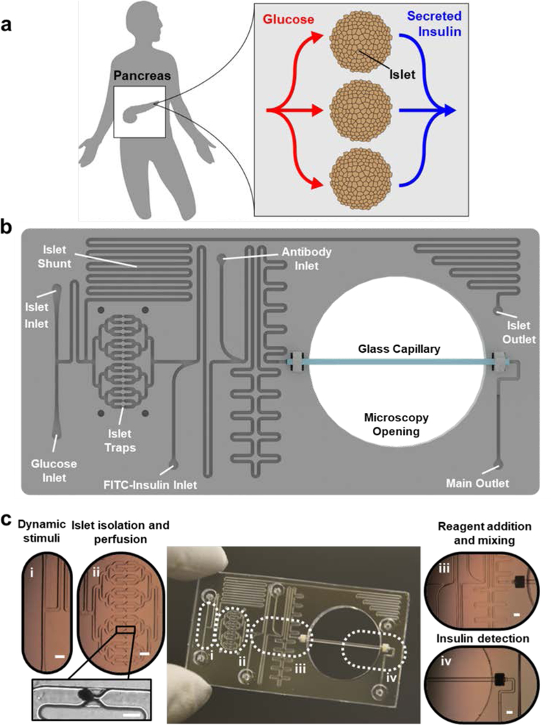 Figure 1 |