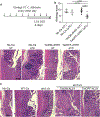 Extended Data Fig. 9 |