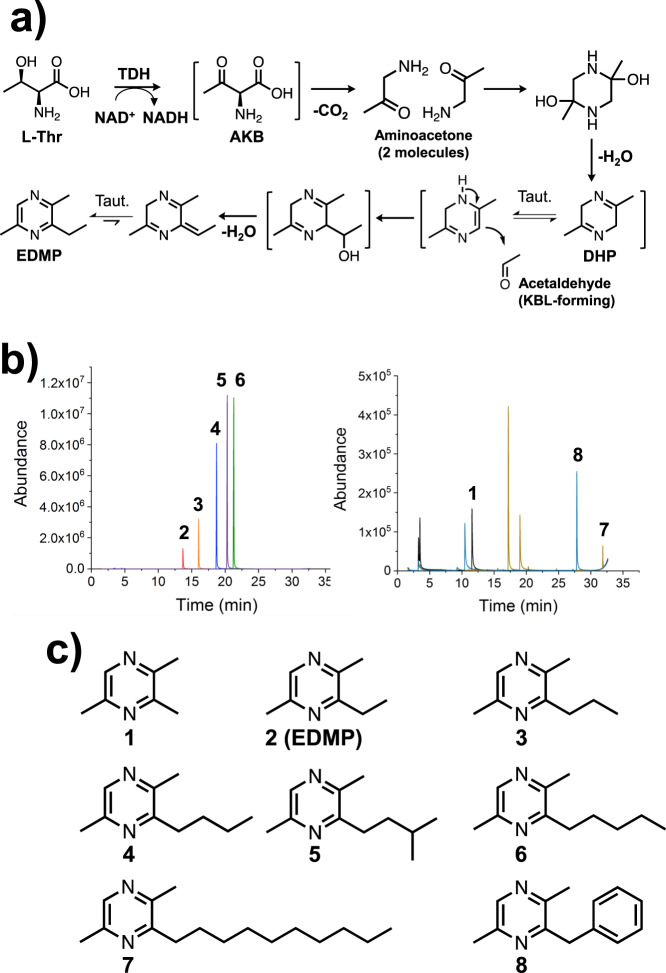 Fig. 7