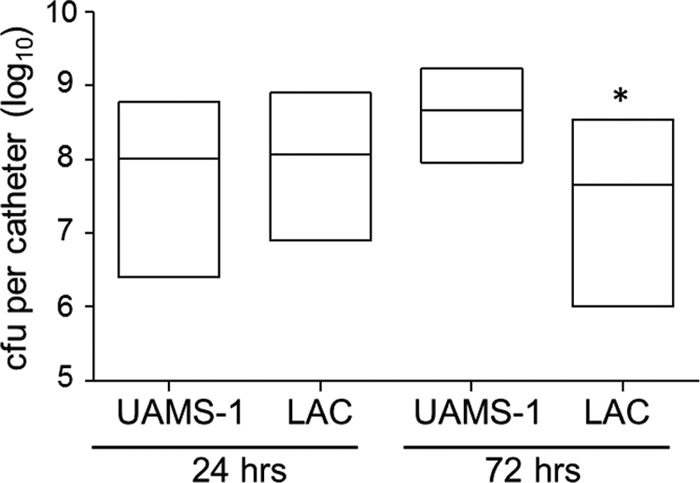 FIG 1