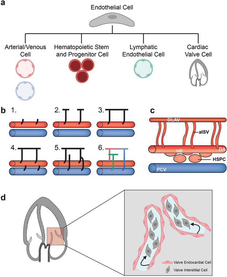 Fig 1: