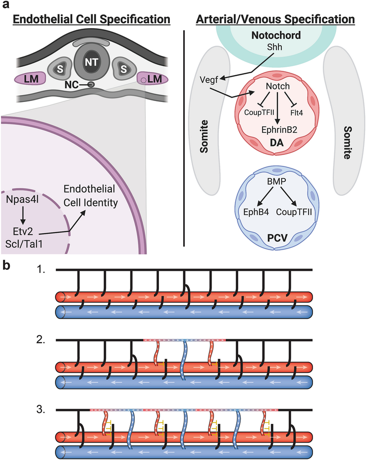 Fig 3: