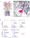 Fig. 6.