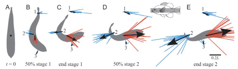 Fig. 10