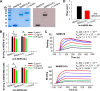 FIG 2