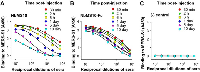 FIG 6