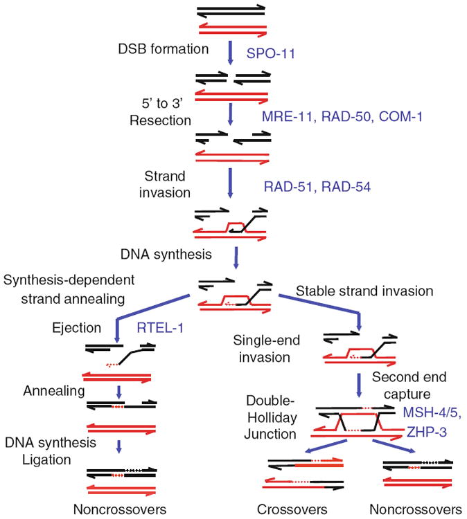 Fig. 6.4