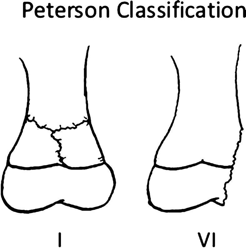 Fig. 8