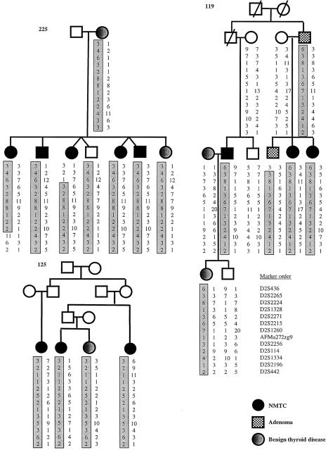 Figure  3