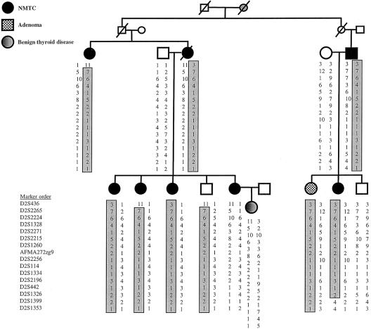 Figure  1