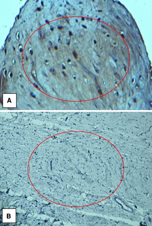 Fig. 6A–B