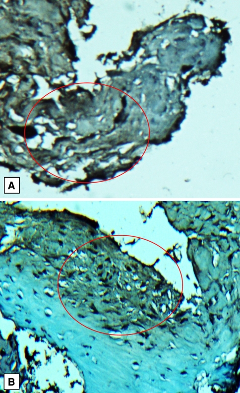 Fig. 5A–B