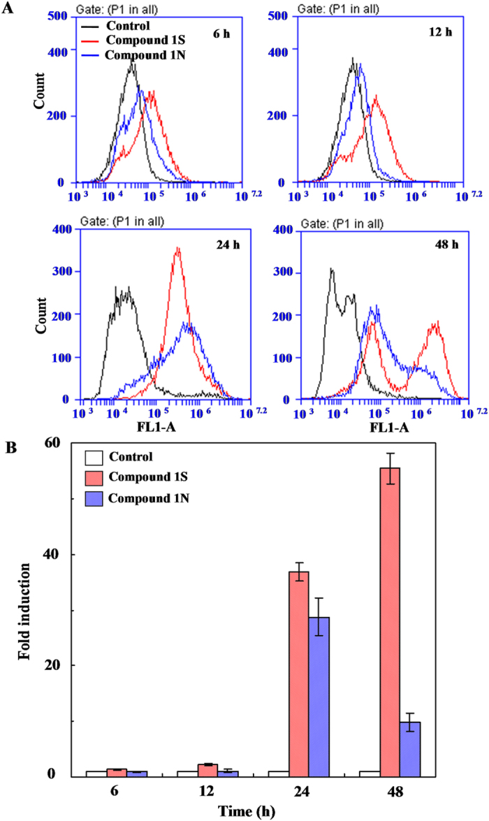 Figure 5