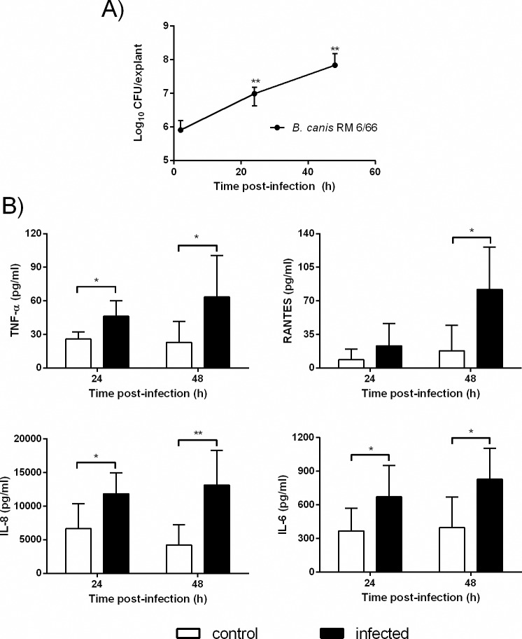 Fig 4