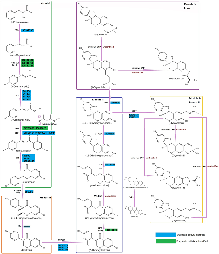 Fig. 4
