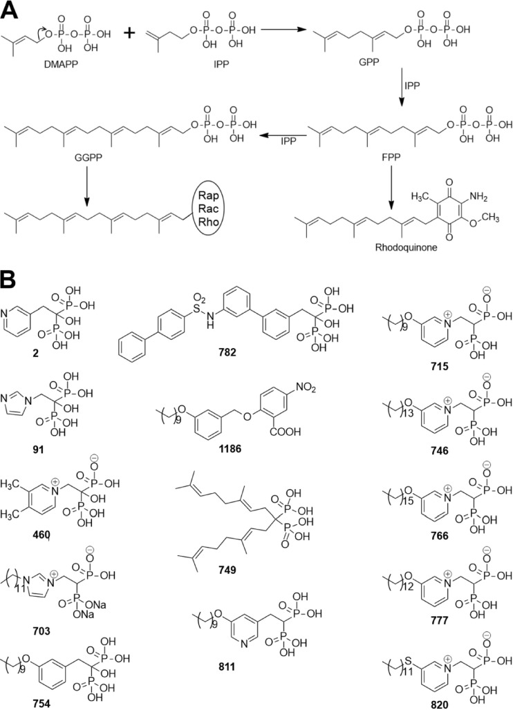 Fig 2