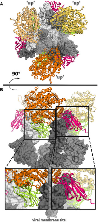 Figure EV3