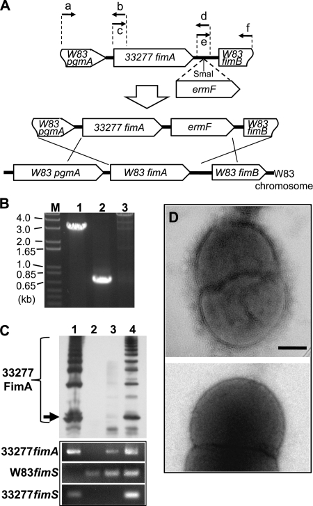 FIG. 7.