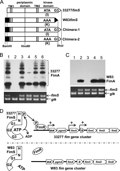 FIG. 5.