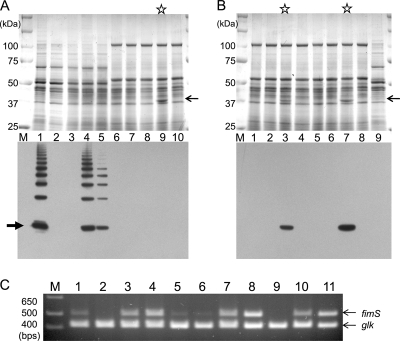 FIG. 4.