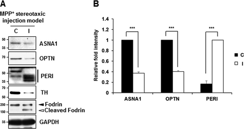 FIGURE 10.