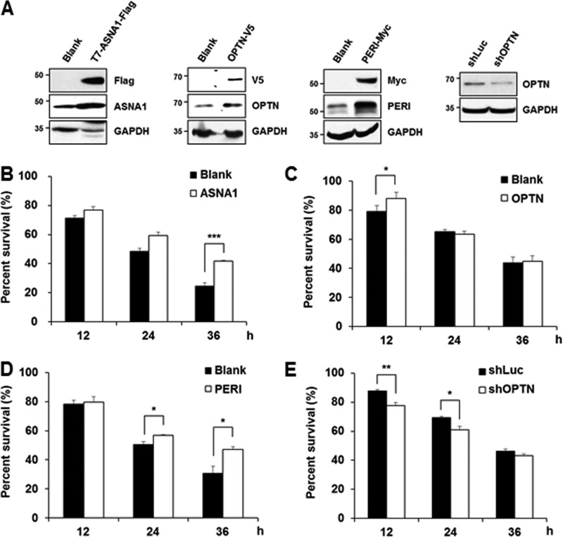 FIGURE 11.