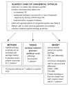 Figure 2)
