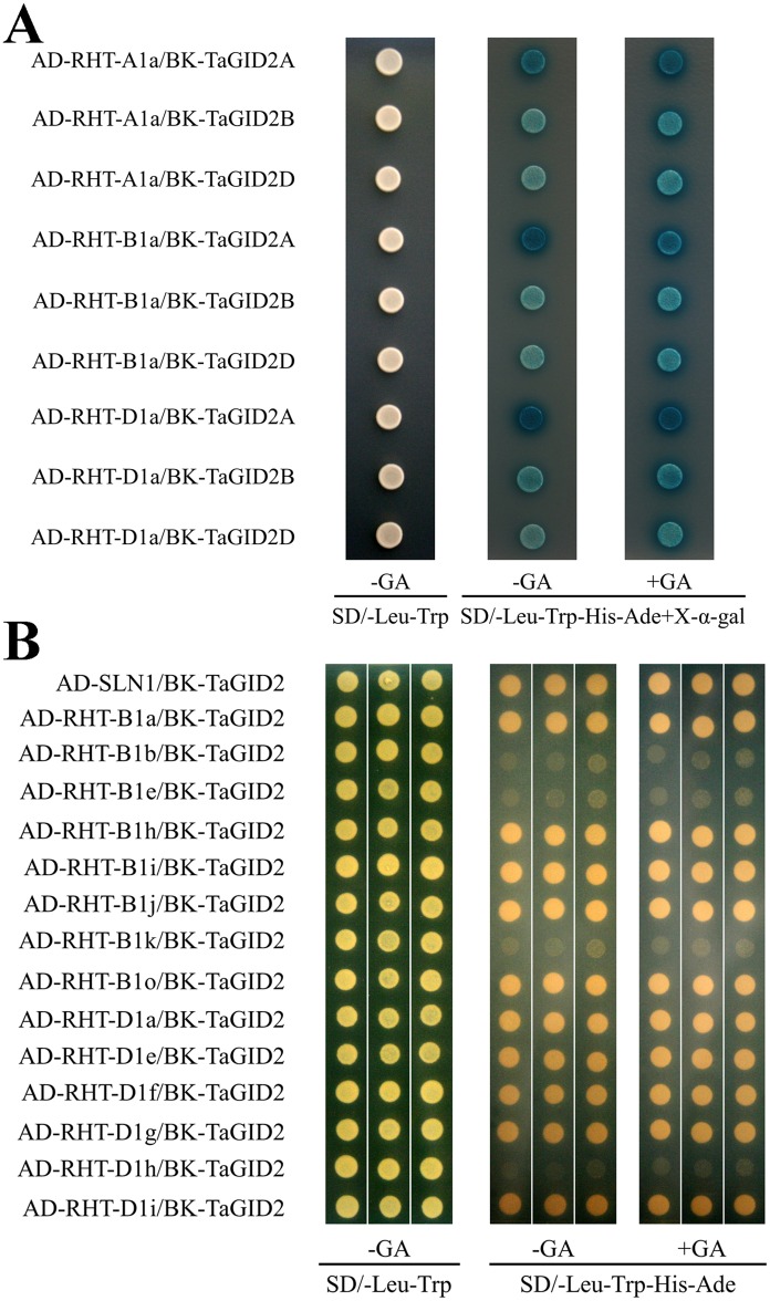 Fig 5