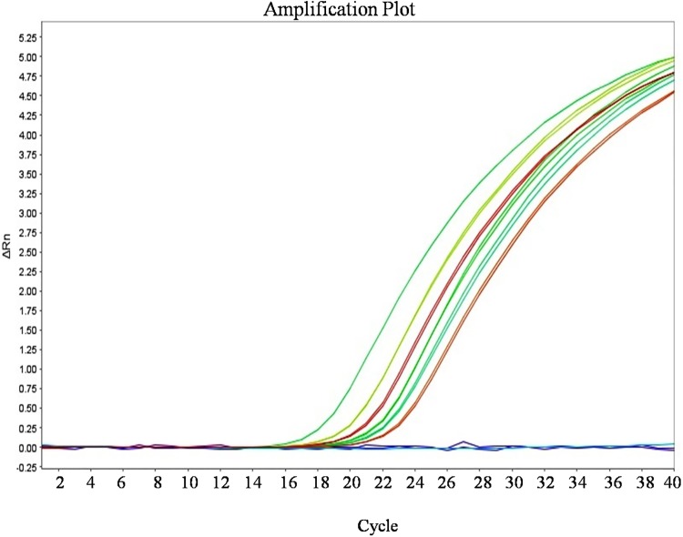 Fig 12